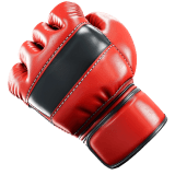 MMA icon